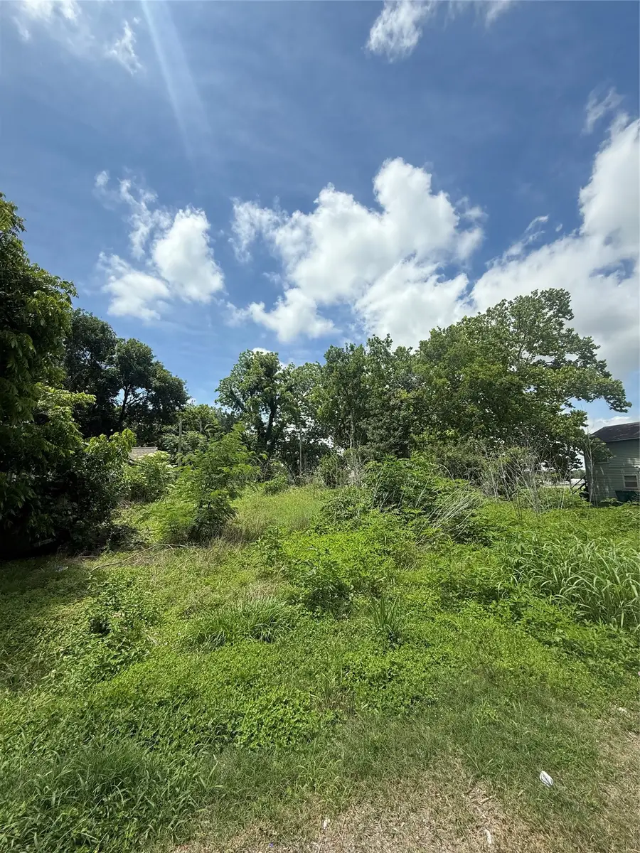 207 Prune Street, La Marque, TX 77568 - #2