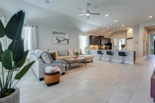 23319 Angelica Tree Lane, Katy, TX 77493