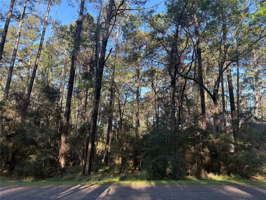 54 Green Tree Drive, Coldspring, TX 77331 - #2