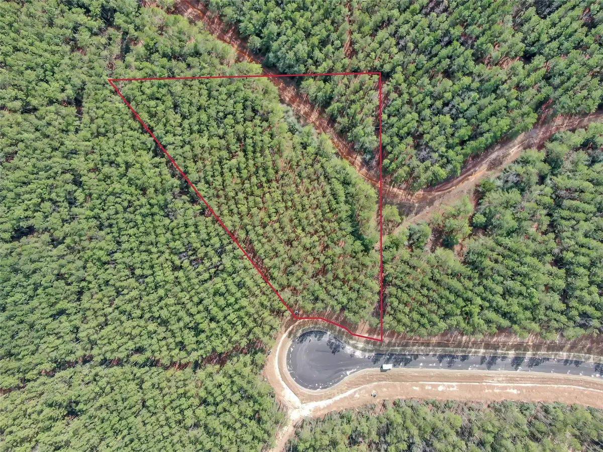 16207 Golden Wood Court, Willis, TX 77378 - Image #1