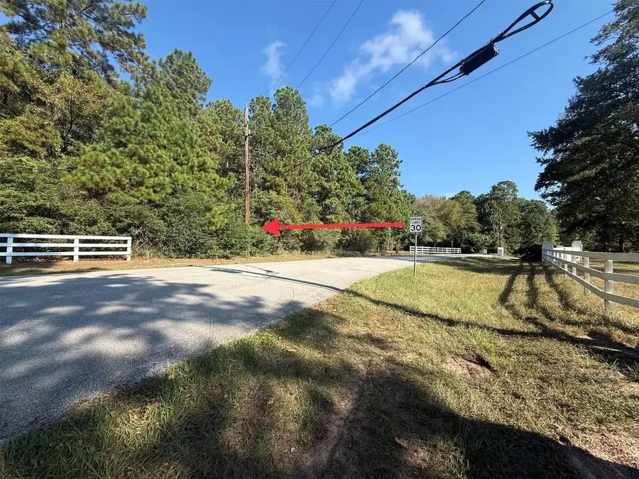 0 Lago Drive, Magnolia, TX 77354 - #2
