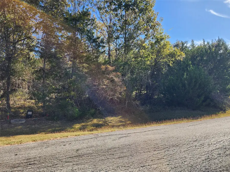 10 N Forest Cove Loop, Coldspring, TX 77331 - #3