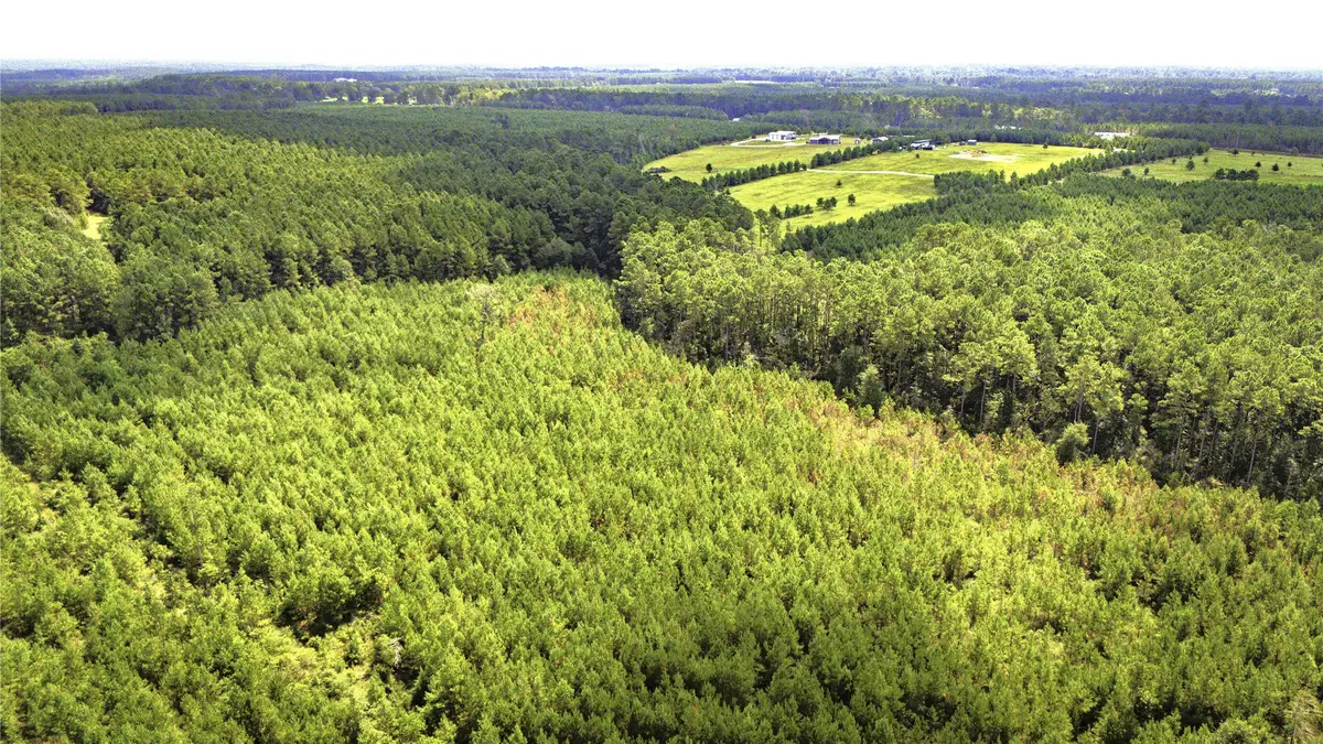 TBD Stutts Hill, Livingston, TX 77351 - #1
