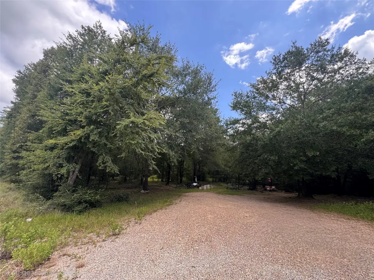 21145 Fm 1774, Plantersville, TX 77363 - #1