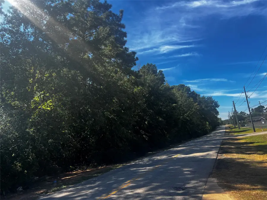 TBD Buddy Riley Blvd, Magnolia, TX 77354 - Image #2