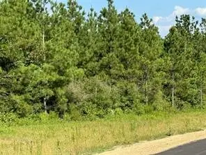 12087 High Branch Way, Willis, TX 77378 - Image #3