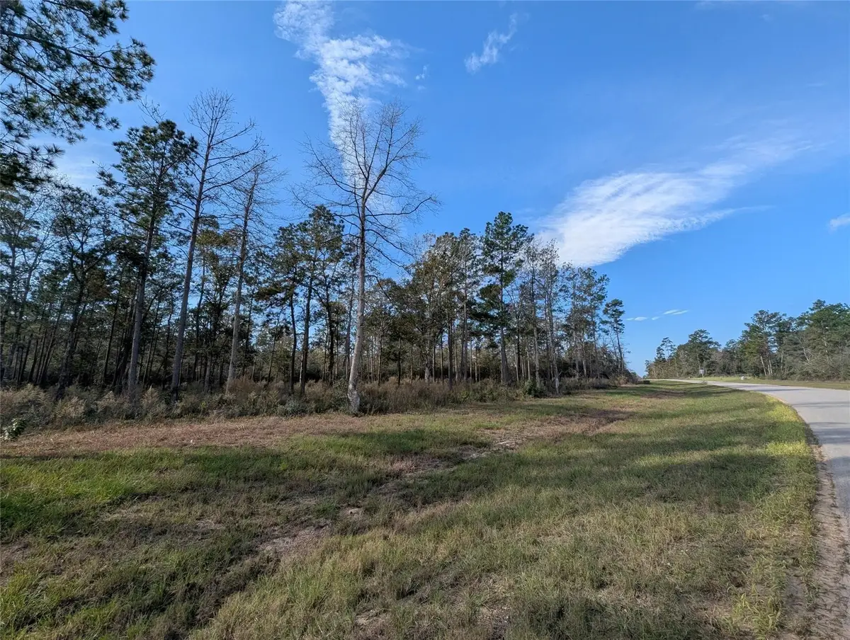 10698 Ruger Road, Willis, TX 77378 - #1
