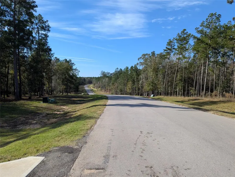 10698 Ruger Road, Willis, TX 77378 - #3