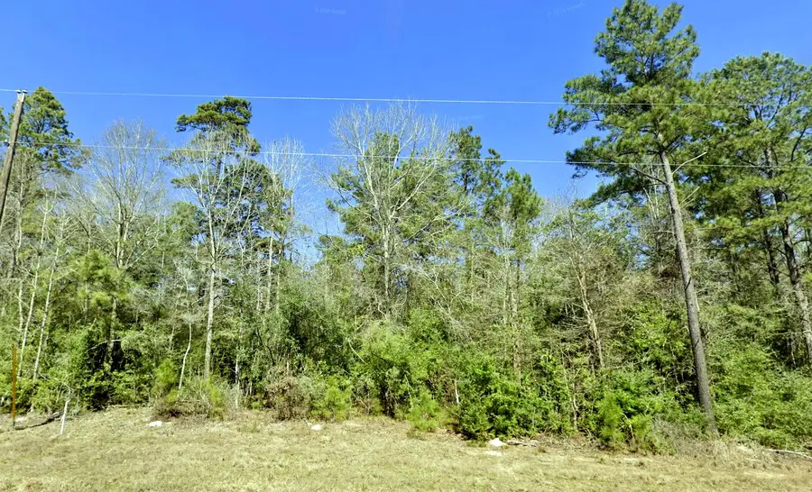 9-21-24 Windmill Road, New Waverly, TX 77358 - #2