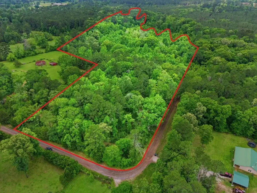 151 Parker Road, New Waverly, TX 77358 - #2