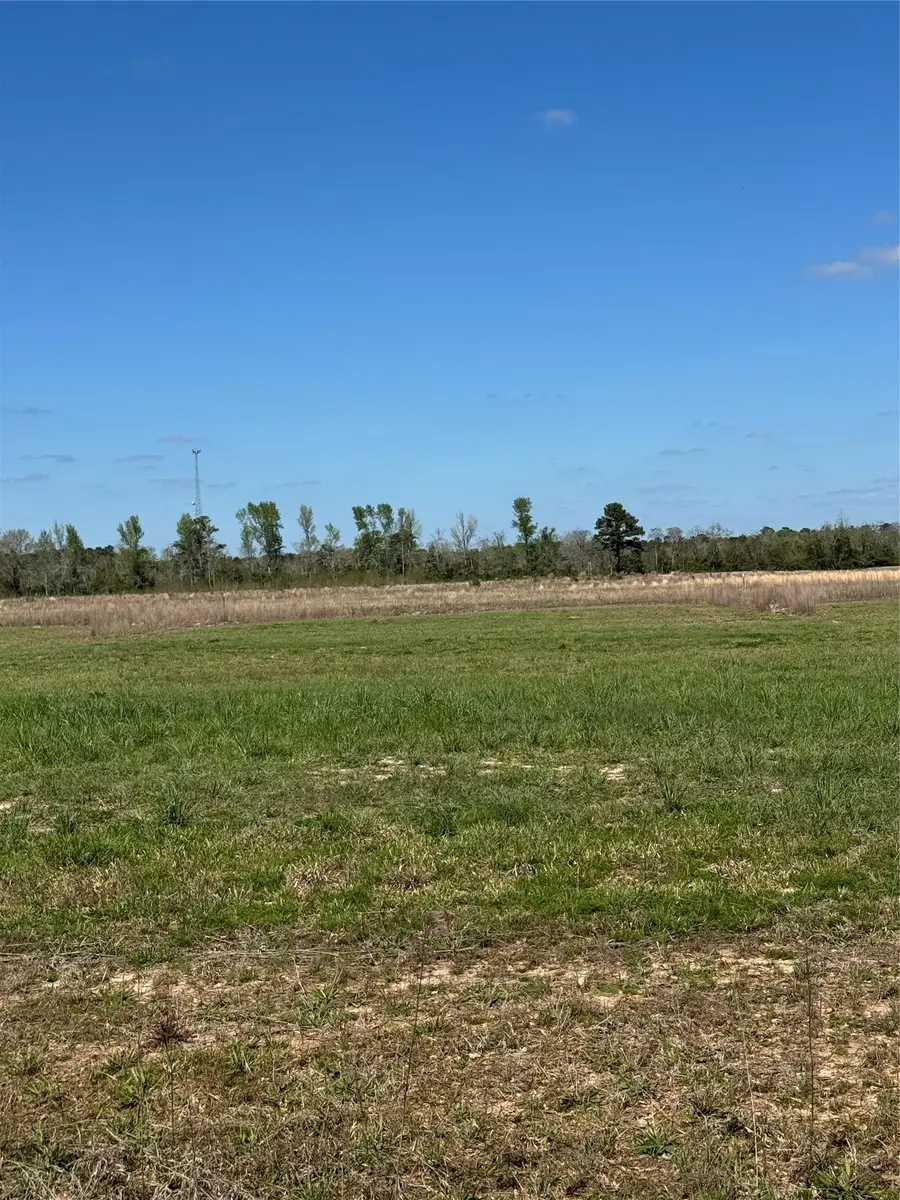 356 County Road 2278, Cleveland, TX 77327 - #2