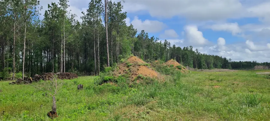 8056 Road 5895, Cleveland, TX 77327 - Image #2