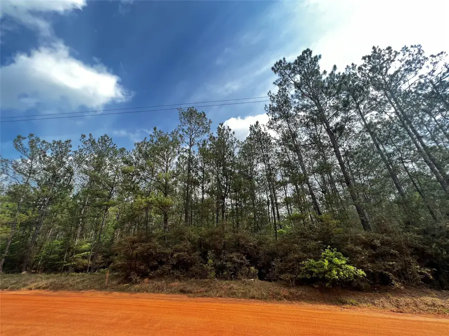 00 Forest Valley Drive, Cleveland, TX 77328 - Image #2