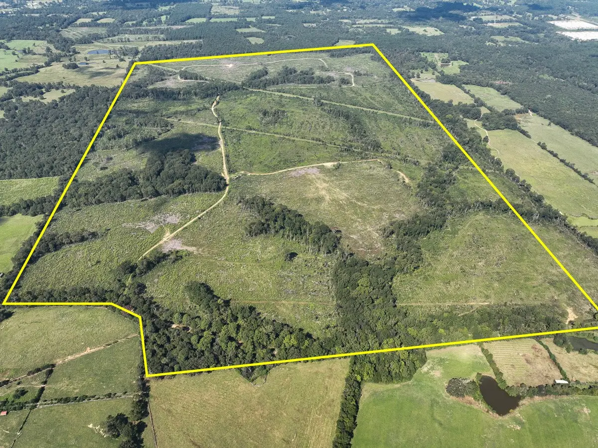 1 County Road 4916, Timpson, TX 75975 - #1