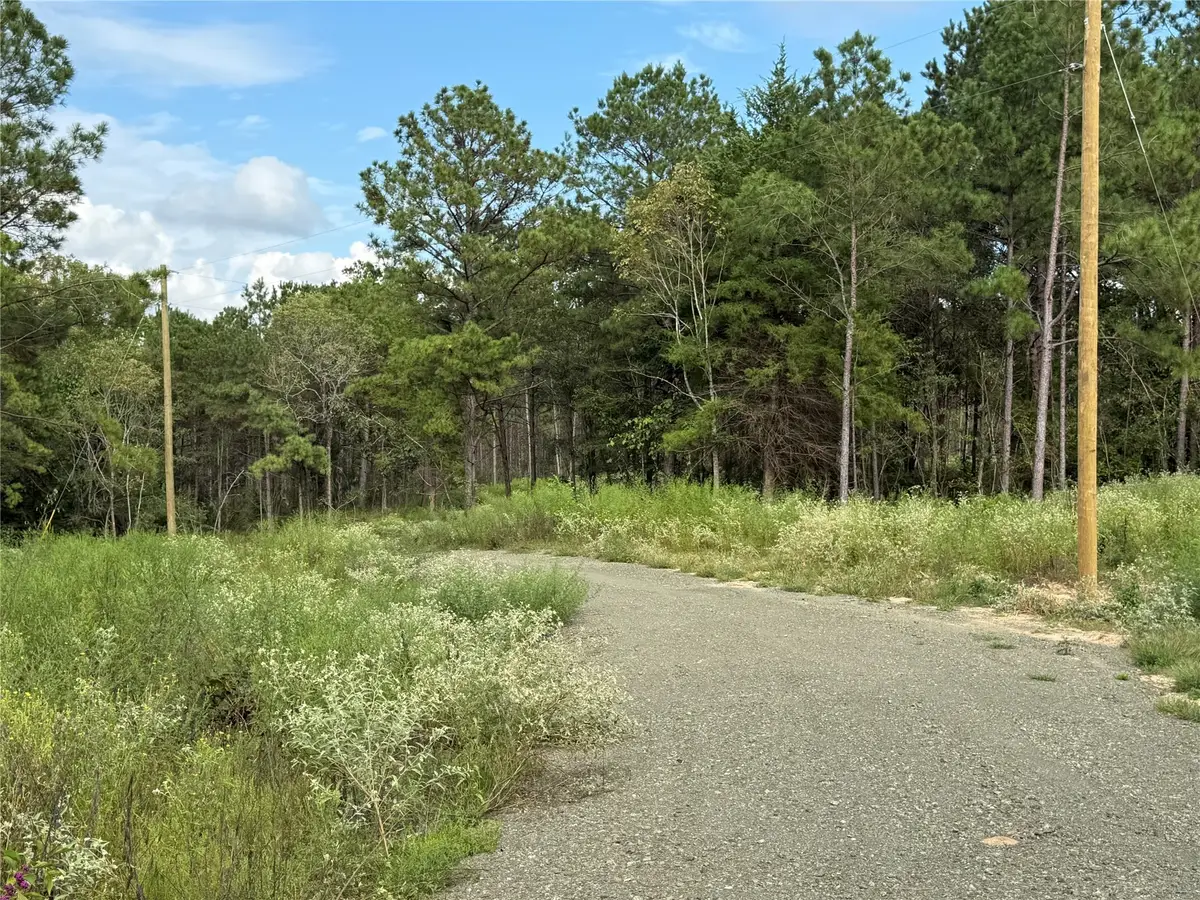 434 Piney Creek Estates Rd, Timpson, TX 75975 - #1
