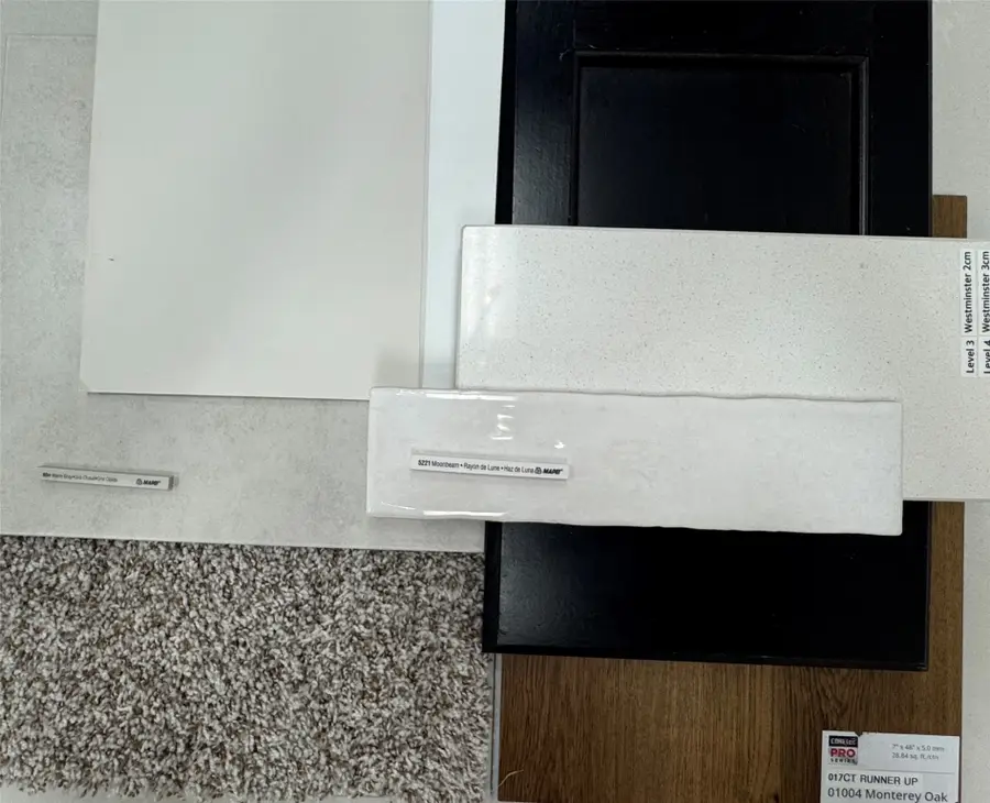 18782 Lucas Michael Way, New Caney, TX 77357 - Image #2