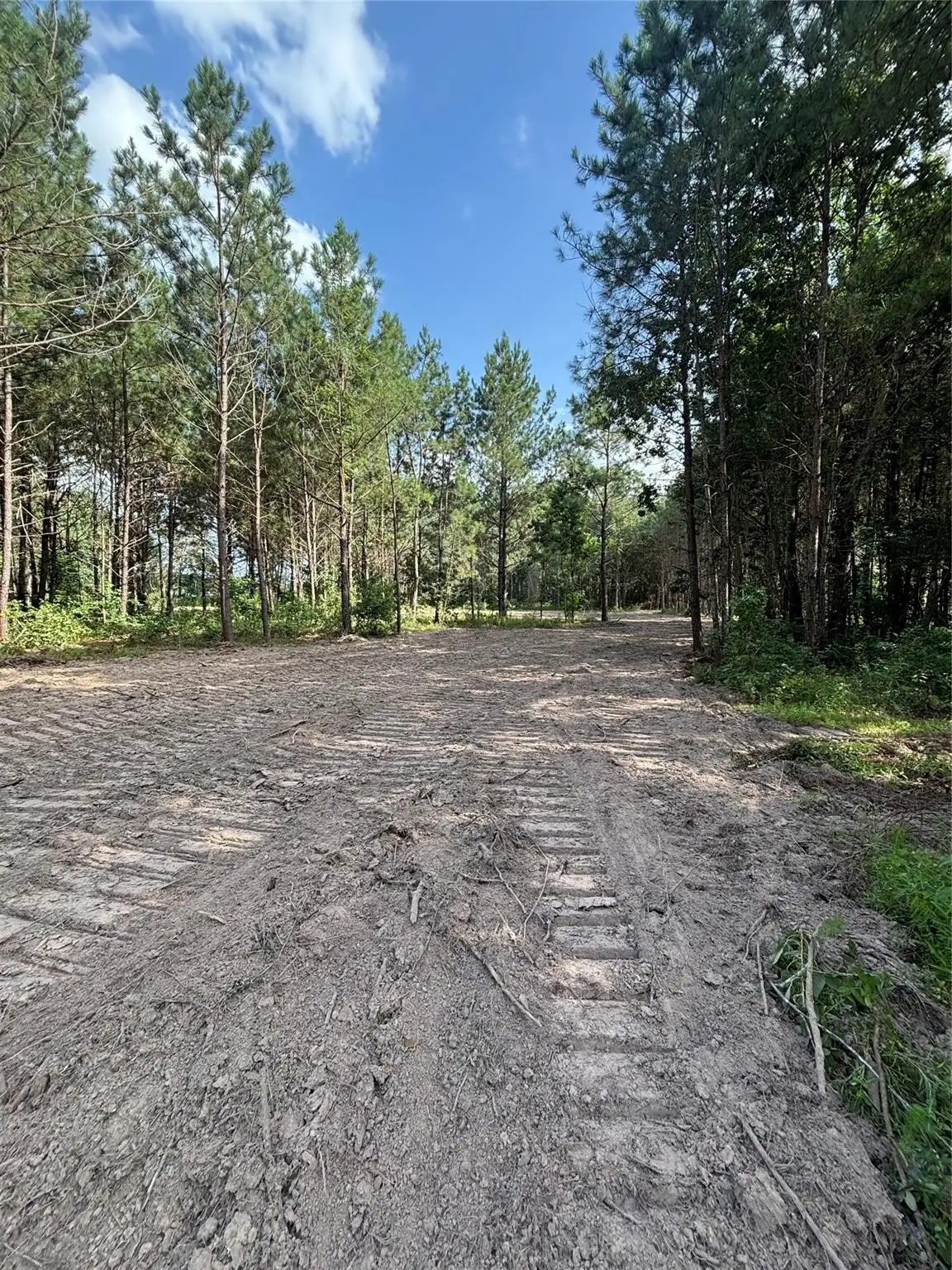 TBD County Road 3015 - Tract C3, Dayton, TX 77535 - Image #1