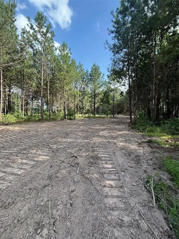 TBD County Road 3015 - Tract C3, Dayton, TX 77535