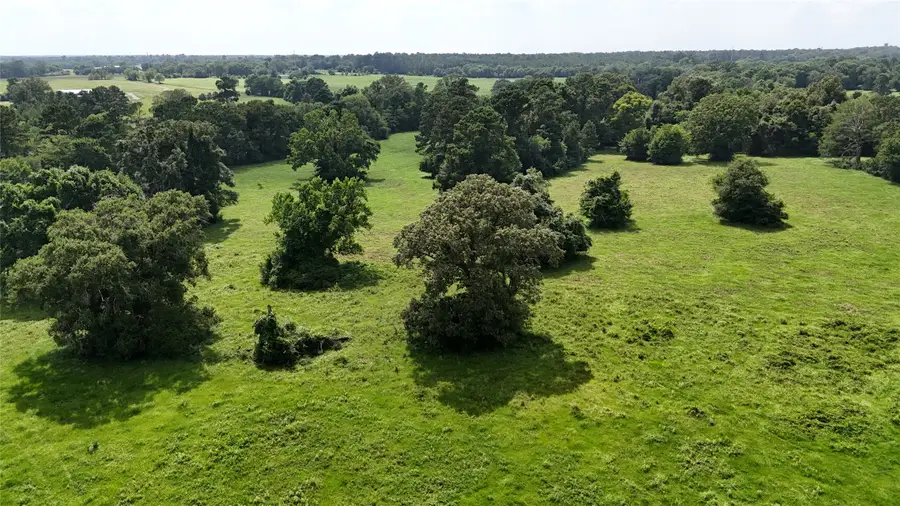 TBD Jones Road, New Waverly, TX 77358 - #3