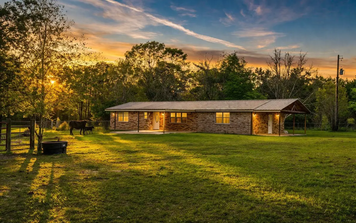 317 County Road 4392, Hillister, TX 77624 - #1