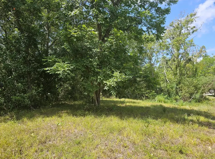 TBD 0 County Road 825, West Columbia, TX 77486 - Image #2