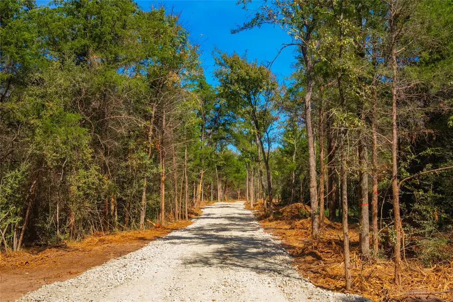 12556 Red Hill Rd, Hearne, TX 77859 - #2