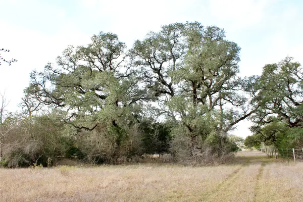 TBD Parcel 12 Lobo Lane, Columbus, TX 78934