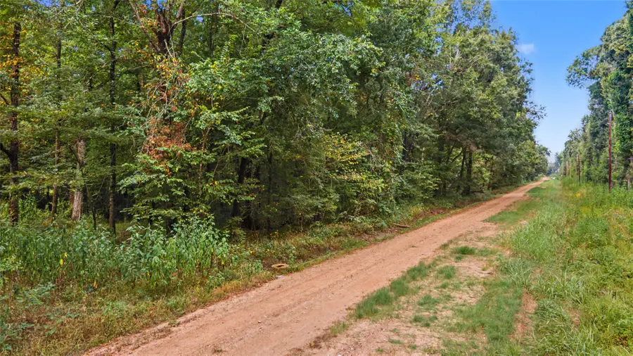 0 Holt Street, Coldspring, TX 77331 - #2