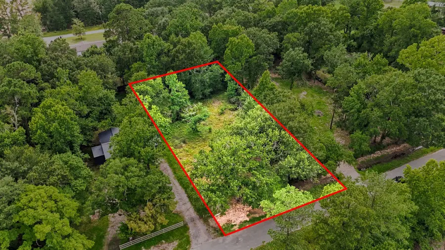 10924 L And M Road, Montgomery, TX 77316 - #3