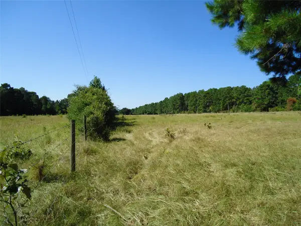 788 Fm-2781, Groveton, TX 75845