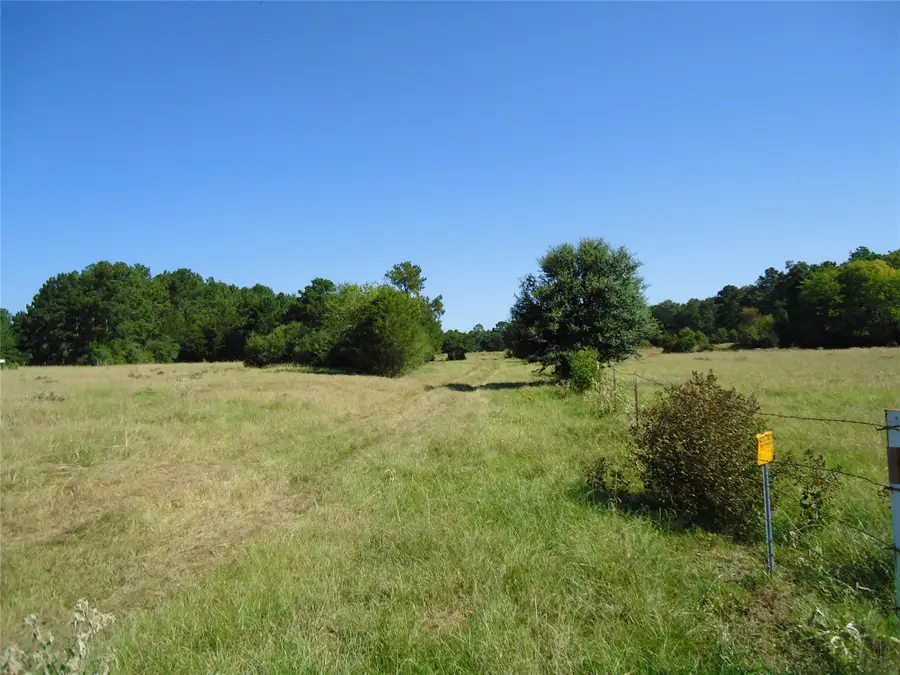 788 Fm-2781, Groveton, TX 75845 - #2
