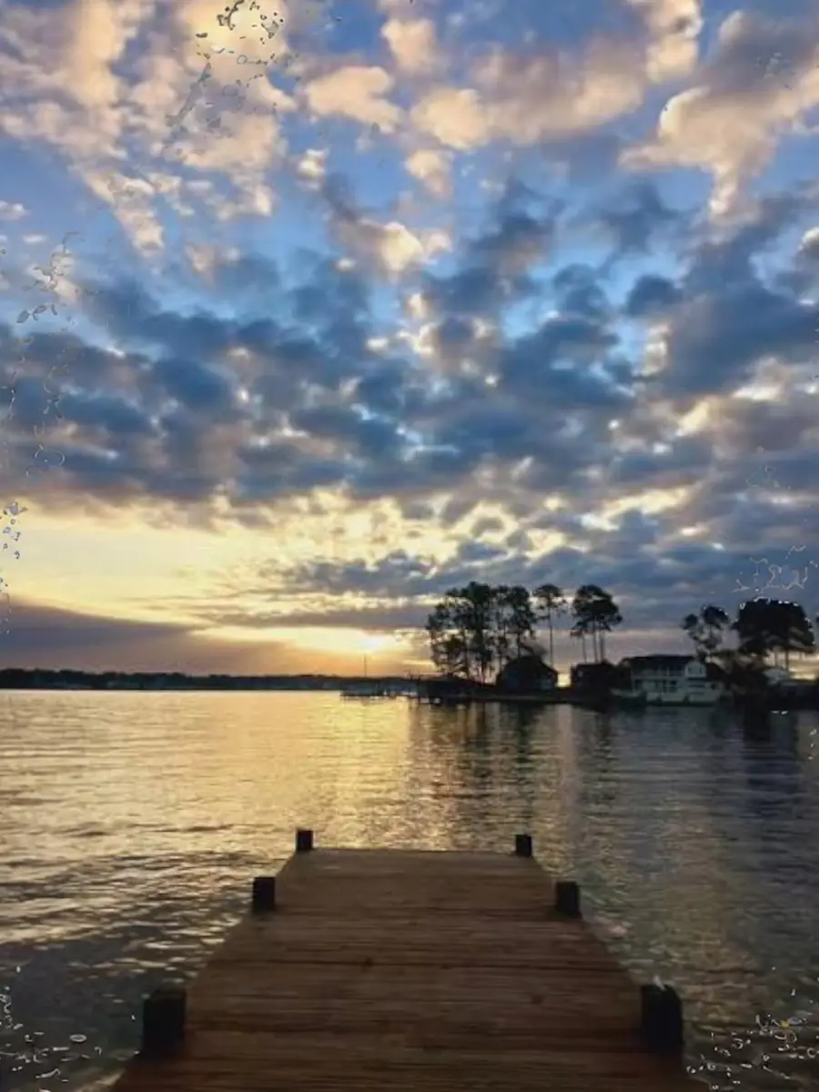 235 Michelle Lane, Trinity, TX 75862 - #2