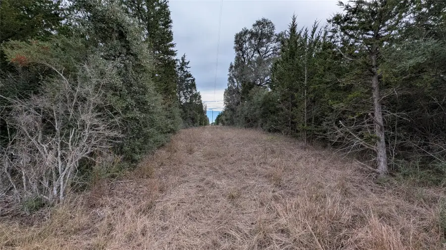 1001 County Road 126, Hallettsville, TX 77964 - #3
