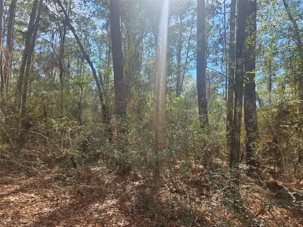 0 Tbd Indian Trail Drive, Hempstead, TX 77445