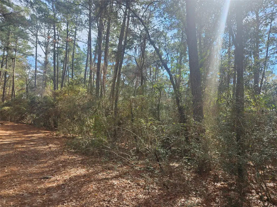 0 Tbd Indian Trail Drive, Hempstead, TX 77445 - #2