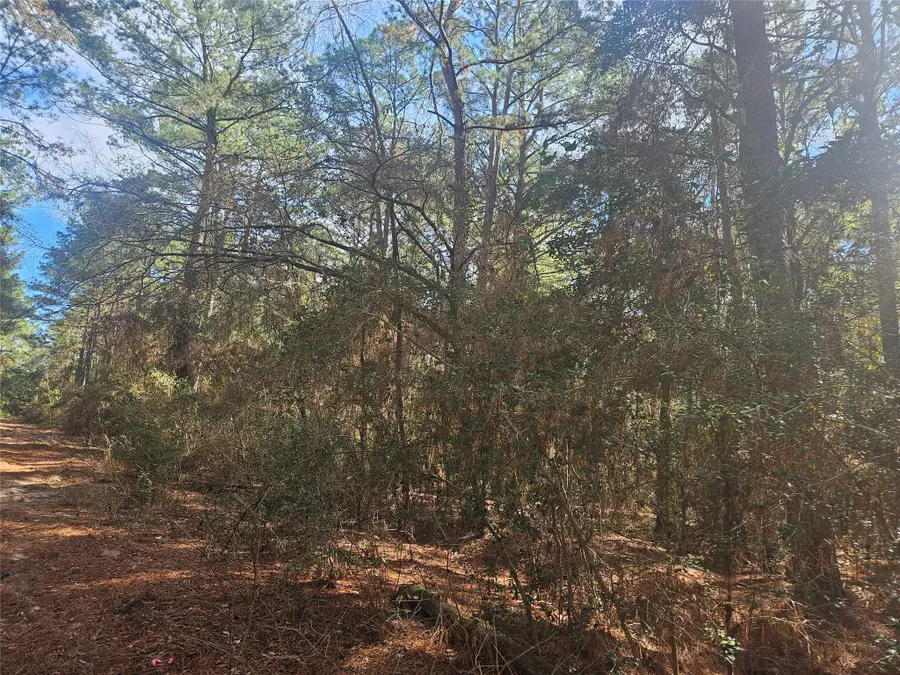 0 Tbd Indian Trail Drive, Hempstead, TX 77445 - #3