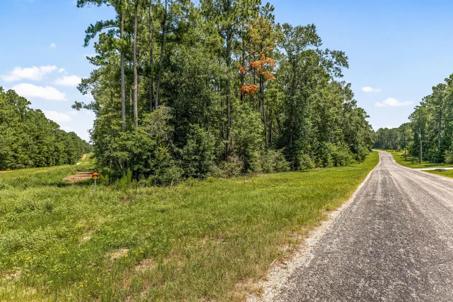 Lot 2&3 Remington Road, Huntsville, TX 77340 - #2