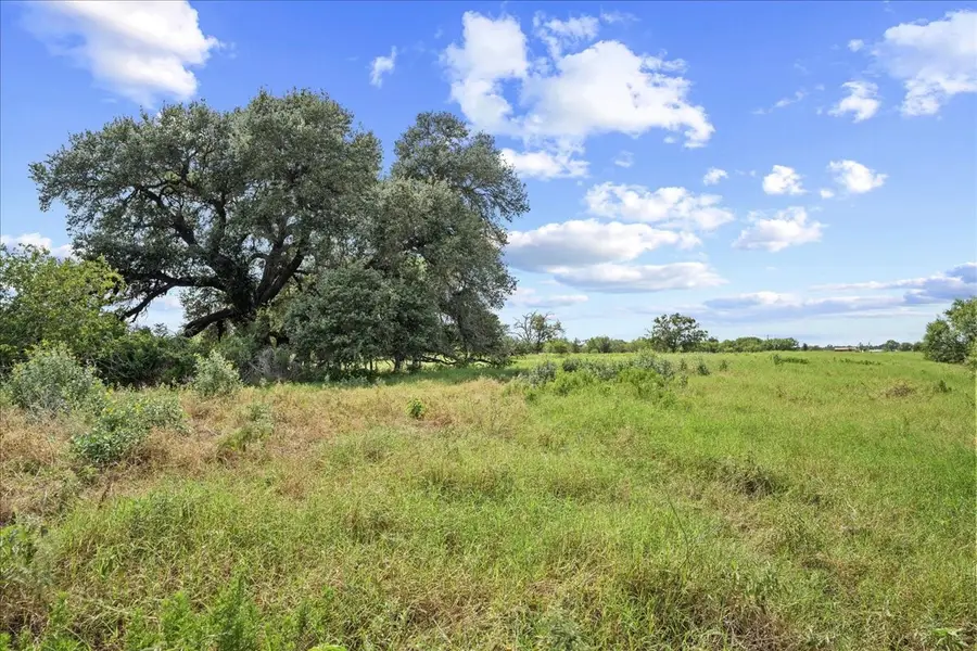 399 Prune Road, La Grange, TX 78945 - #3