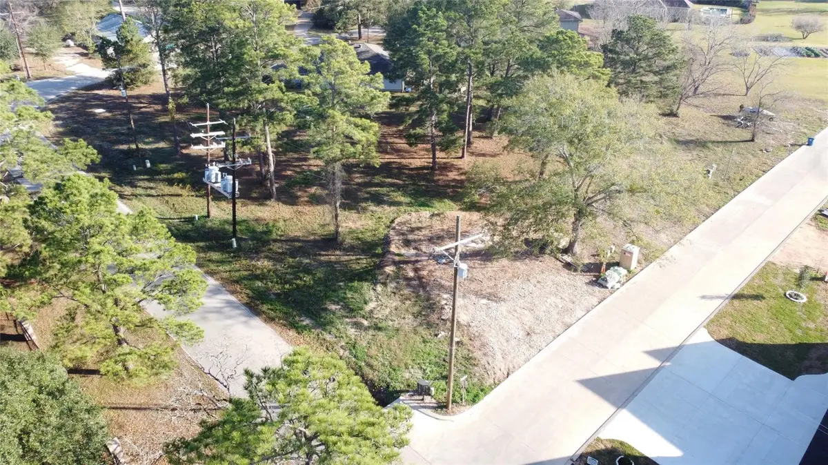 16722 Falcon Point Drive, Montgomery, TX 77356 - Image #1