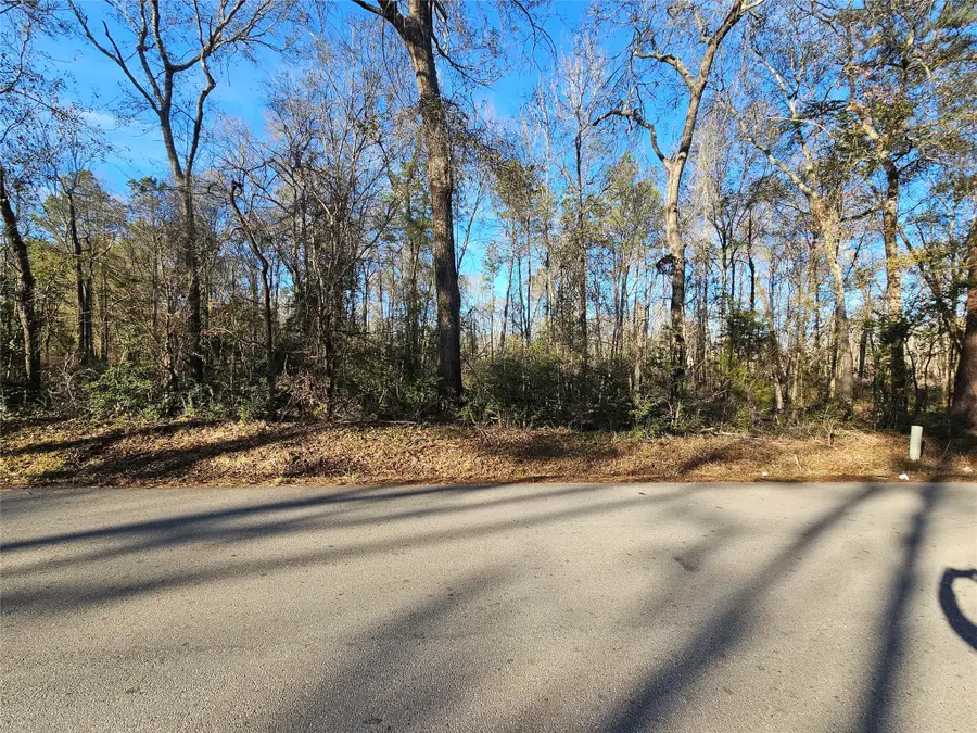 Lot 4 Sherwood Drive, Shepherd, TX 77371 - #2