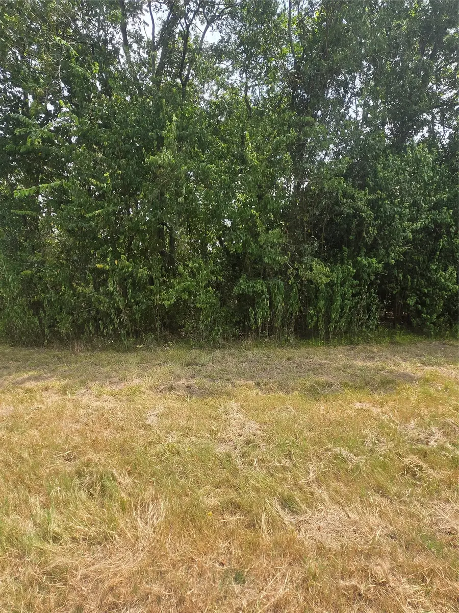 3531 Robinson Drive, Pearland, TX 77581 - #3