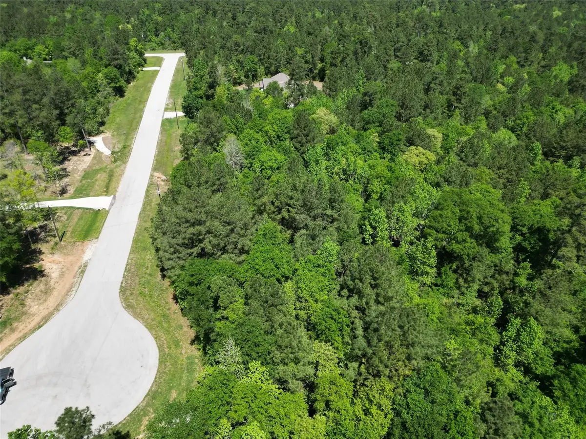 0 Pyrite Court, Huntsville, TX 77340 - #1