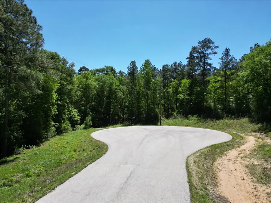 0 Pyrite Court, Huntsville, TX 77340 - #3