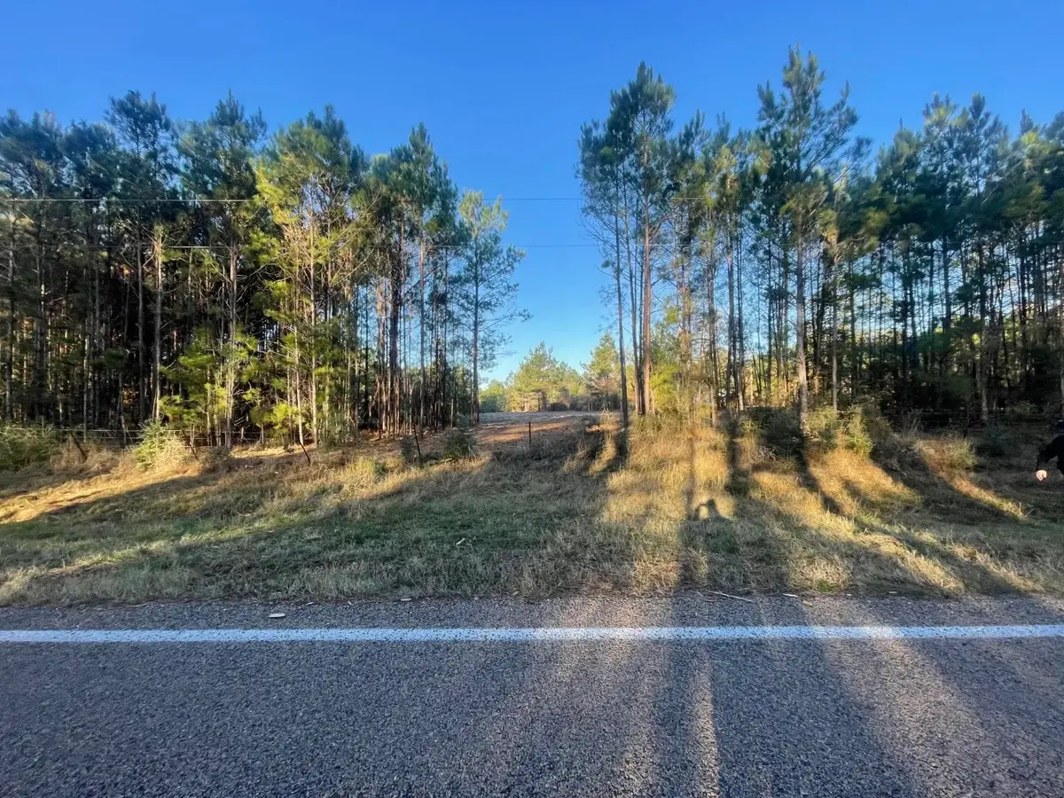 Lot 4 E Fm 942, Livingston, TX 77351 - #1