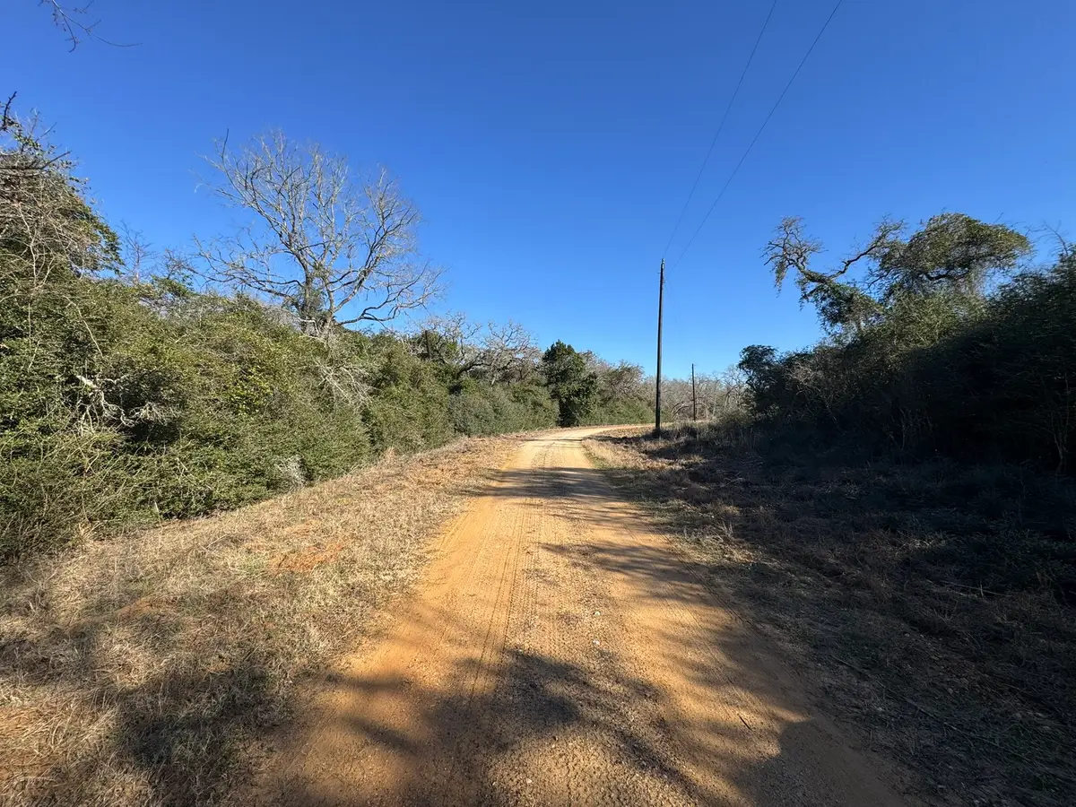 0 Sycamore Branch Drive, Hilltop Lakes, TX 77871 - #1