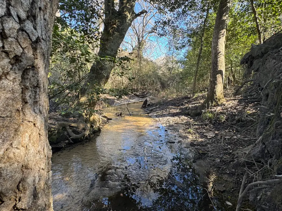 0 Sycamore Branch Drive, Hilltop Lakes, TX 77871 - #2