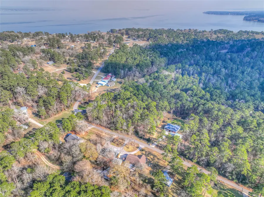 66 Everitt Lane, Coldspring, TX 77331 - #3