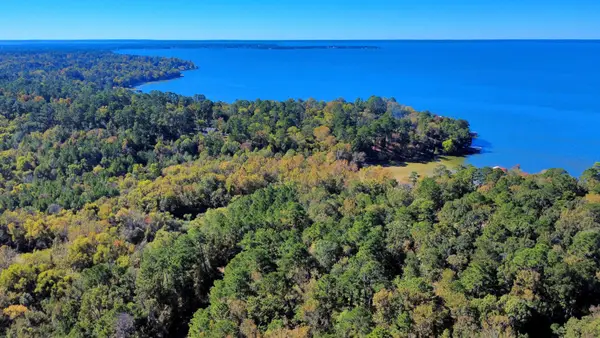 TBD Deer Ridge Lot 73 Drive, Livingston, TX 77351