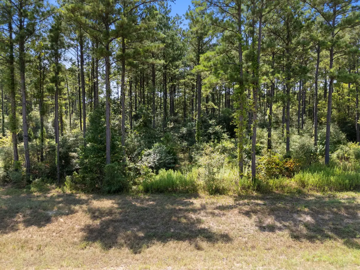 15735 Wooded Trail Way, Willis, TX 77378 - #1