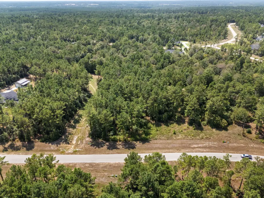 15735 Wooded Trail Way, Willis, TX 77378 - #2
